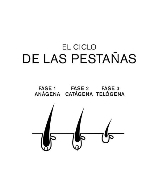 TODO LO QUE DEBES SABER SOBRE EL CICLO DE LAS PESTAÑAS