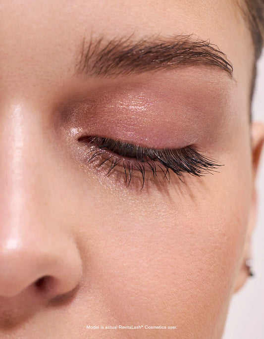 Spotlight on Brows Collection